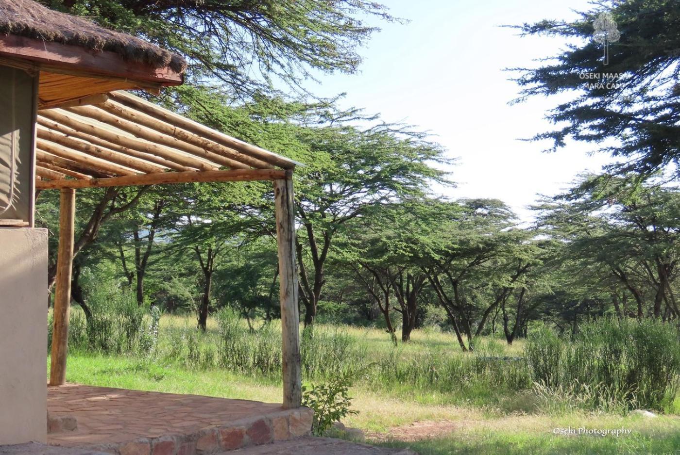 Hotel Oseki Maasai Mara Camp Narok Exteriér fotografie