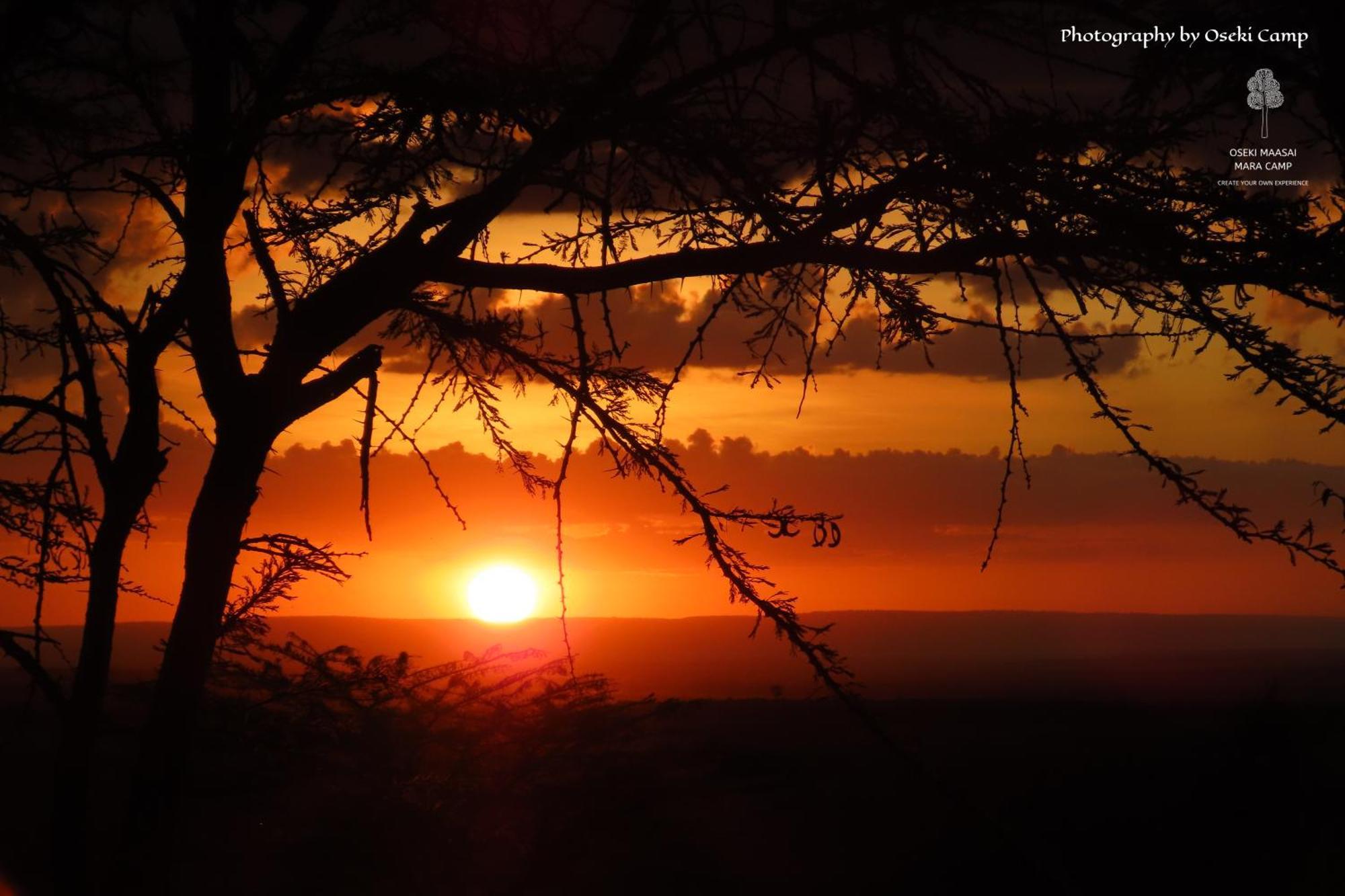 Hotel Oseki Maasai Mara Camp Narok Exteriér fotografie