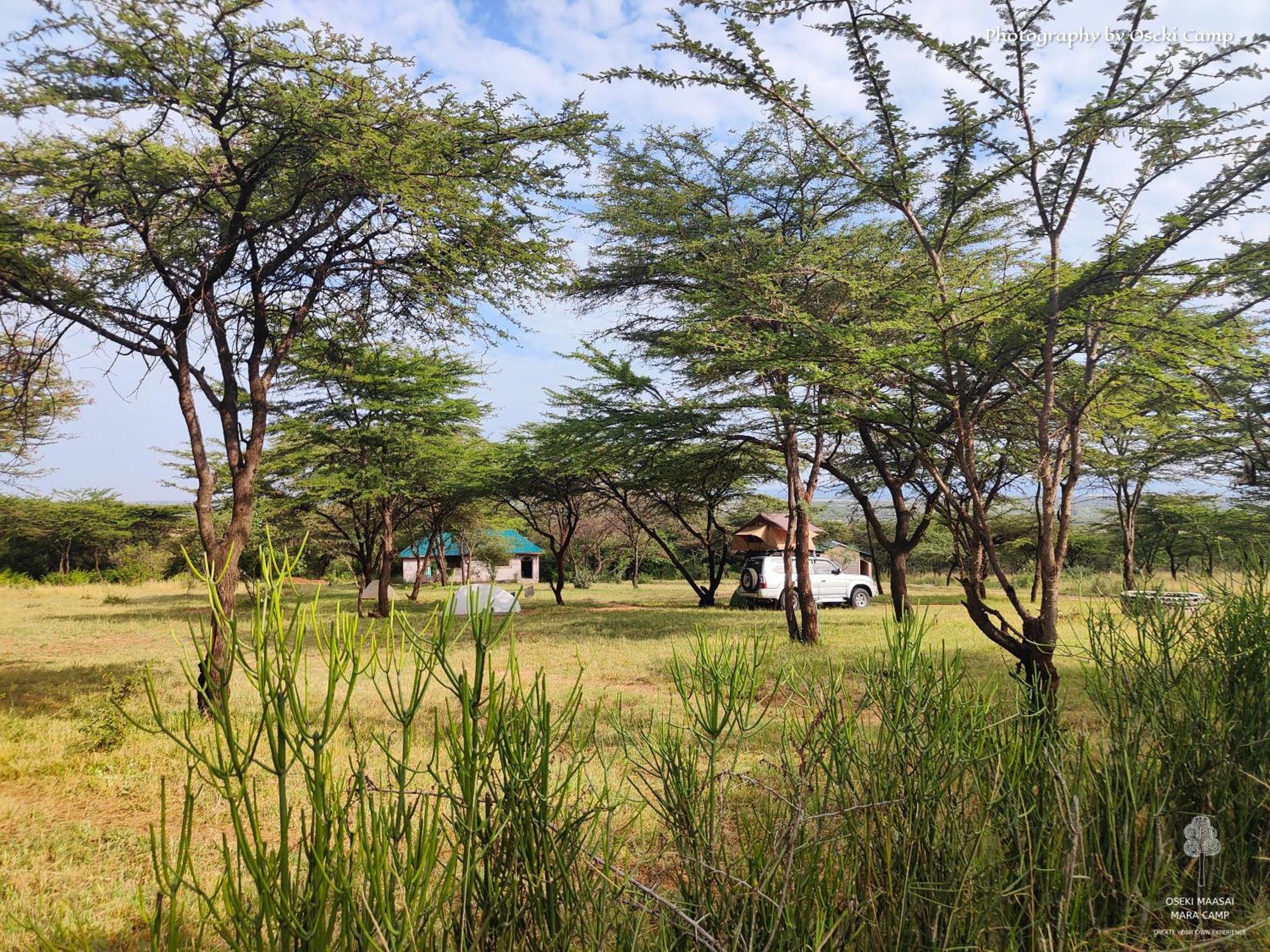 Hotel Oseki Maasai Mara Camp Narok Exteriér fotografie
